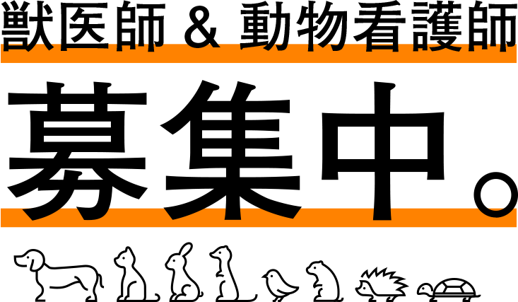 動物看護師さん募集中。