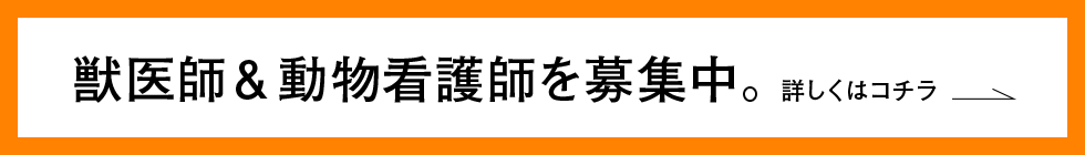 獣医師＆動物看護師を募集中。詳しくはコチラ