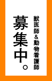 獣医師＆動物看護師　募集中。