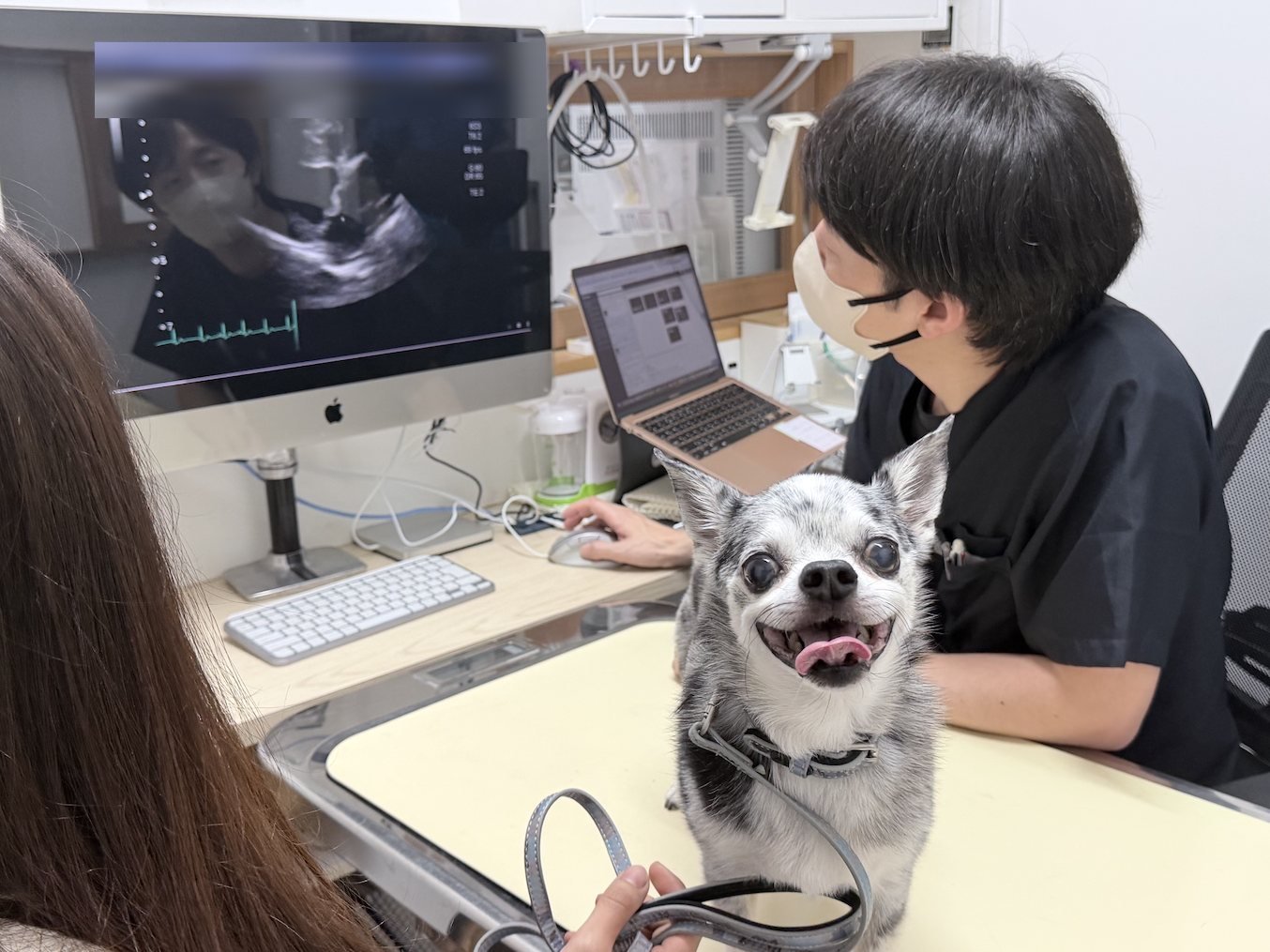 心臓エコー検査と結果のご説明の様子