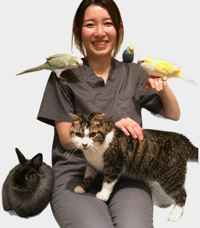 髙木 彩花