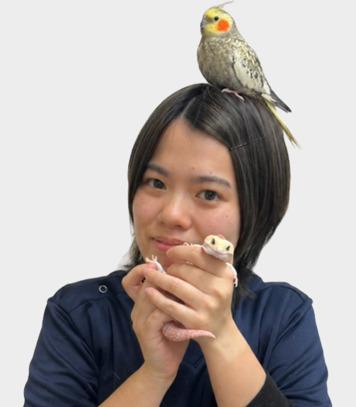 山下 瑠菜