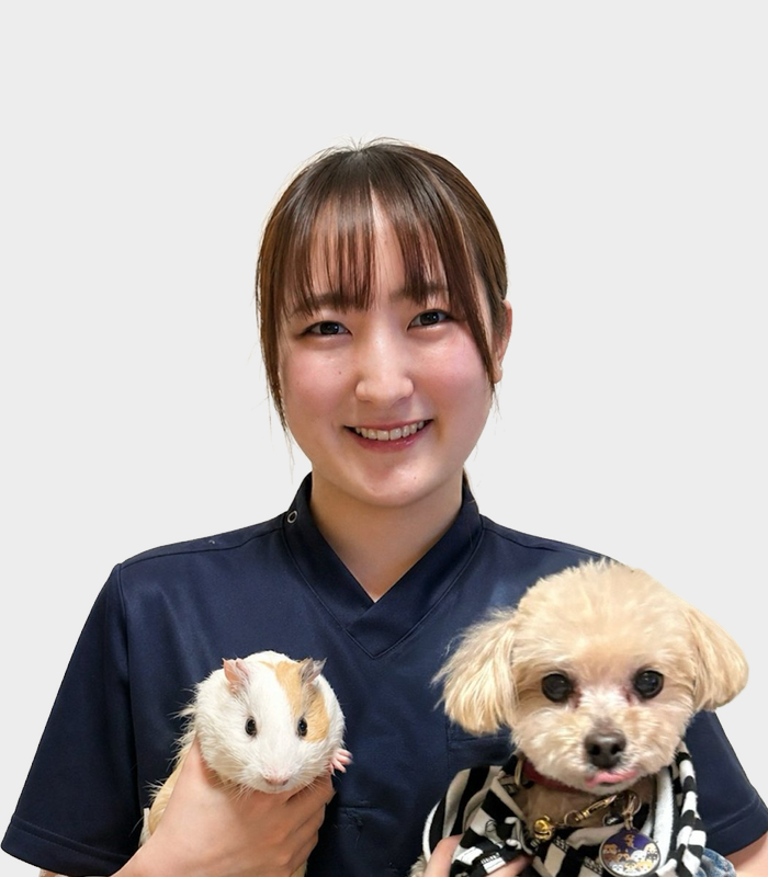 藤井 咲幸